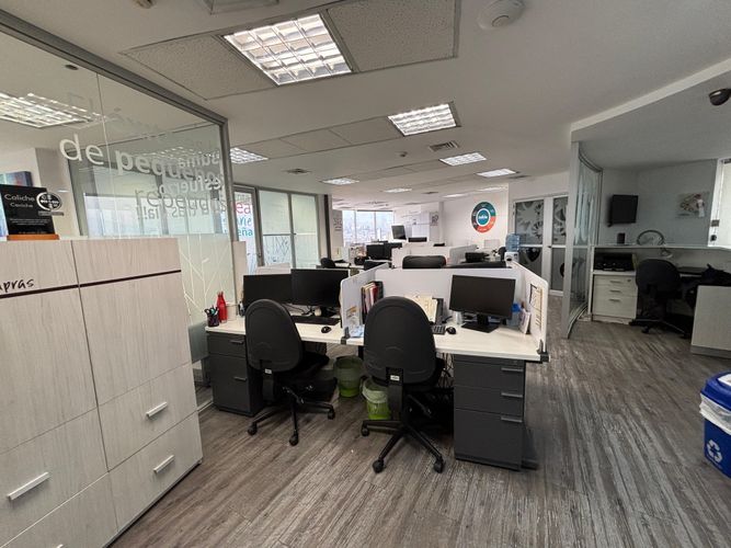 Oficina en arriendo en Astorga, Medellín, 186 m² · foto 6 de 20