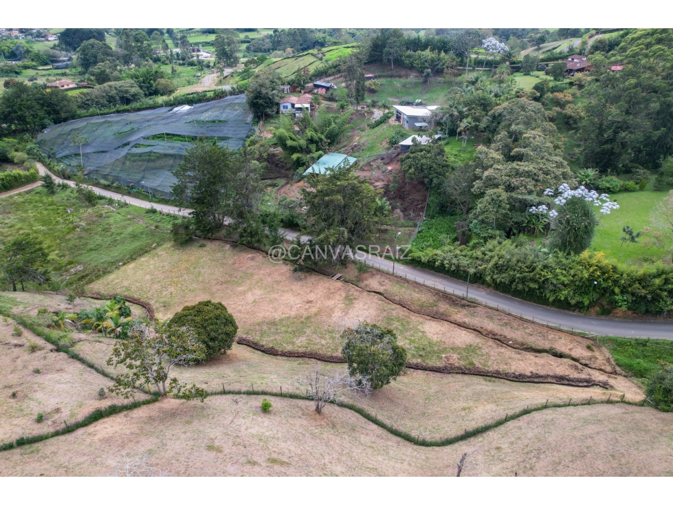 Land in El capiro (5000 m²) for Sale - 2