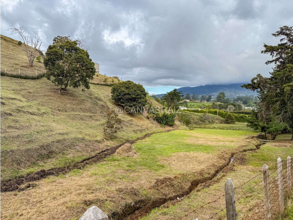 Land in El capiro (5000 m²) for Sale - 3