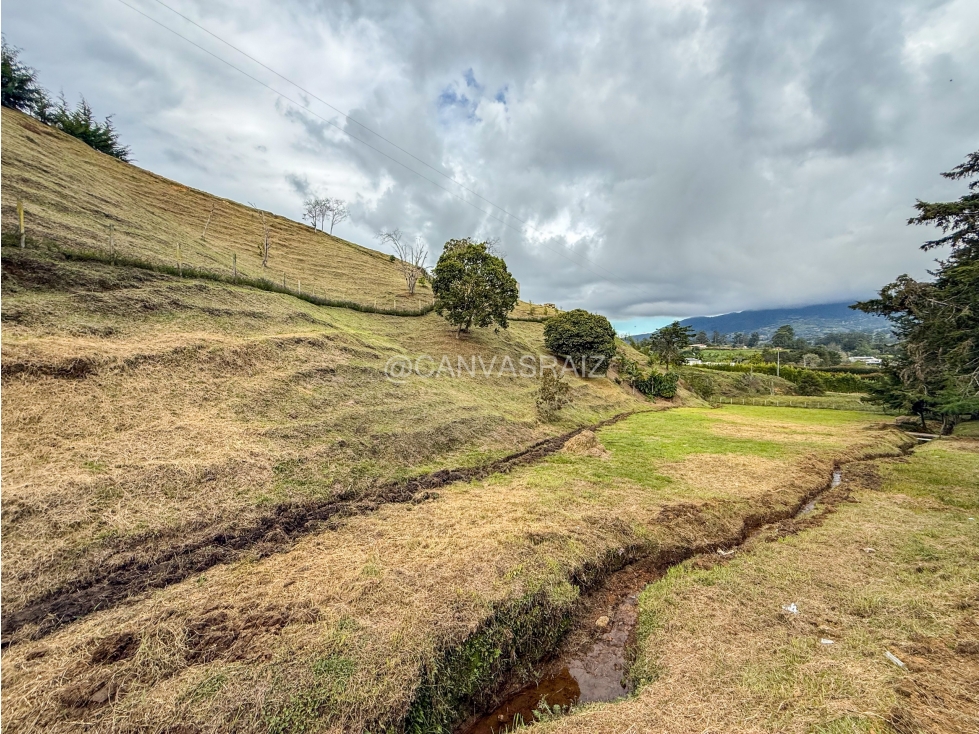 Land in El capiro (5000 m²) for Sale - 4
