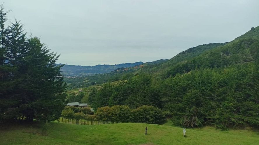 Lote en venta en San Nicolas, La Ceja, 10000 m² · foto 2 de 18