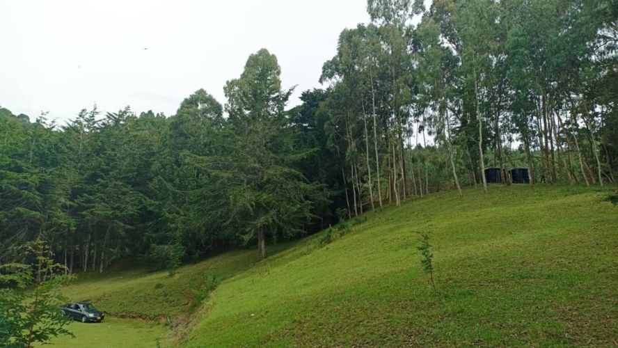 Lote en venta en San Nicolas, La Ceja, 10000 m² · foto 3 de 18