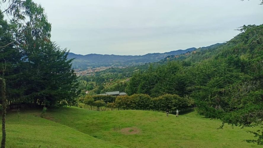 Lote en venta en San Nicolas, La Ceja, 10000 m² · foto 4 de 18