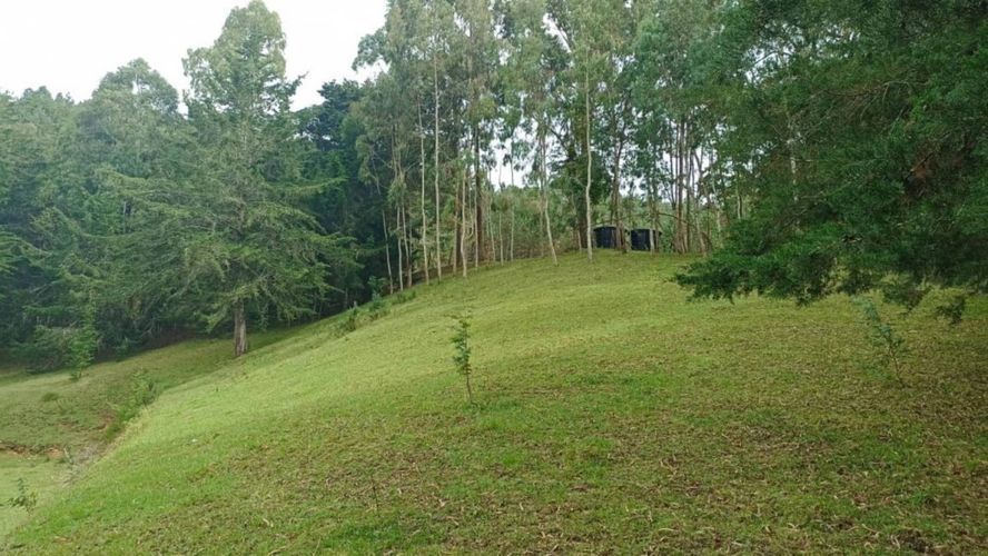Lote en venta en San Nicolas, La Ceja, 10000 m² · foto 5 de 18