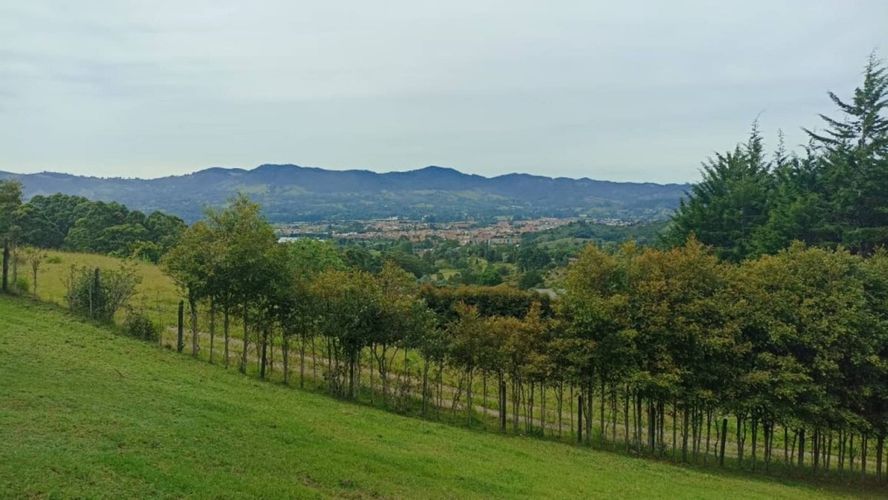 Lote en venta en San Nicolas, La Ceja, 10000 m² · foto 7 de 18