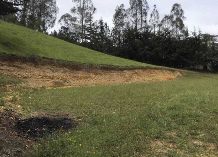 Lote en venta en San Nicolas, La Ceja, 10000 m² · foto 8 de 18