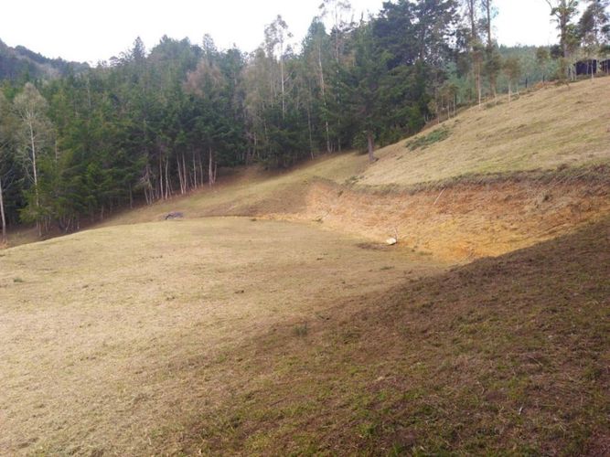 Lote en venta en San Nicolas, La Ceja, 10000 m² · foto 10 de 18
