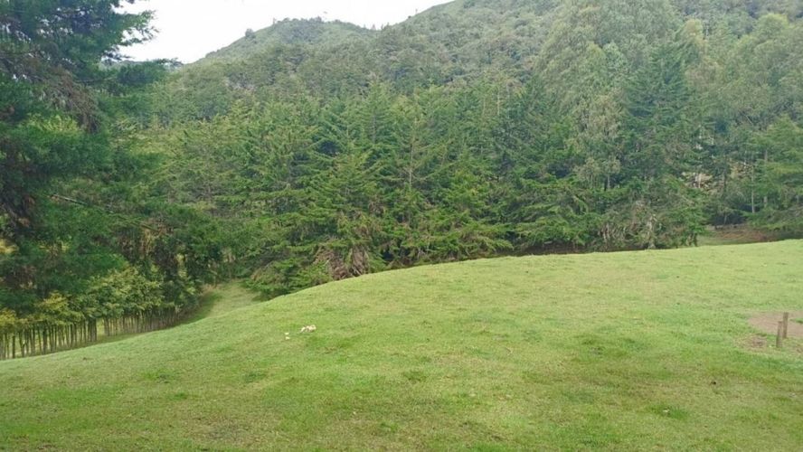 Lote en venta en San Nicolas, La Ceja, 10000 m² · foto 12 de 18