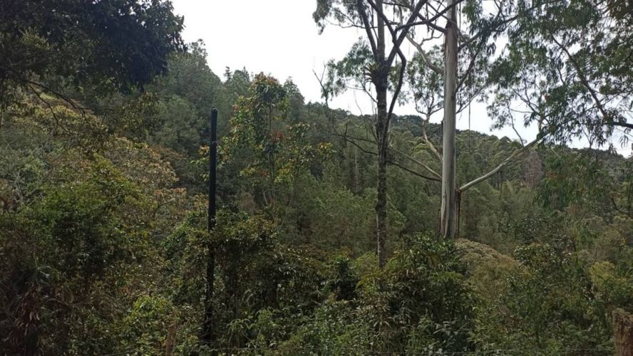 Lote en venta en San Nicolas, La Ceja, 10000 m² · foto 14 de 18