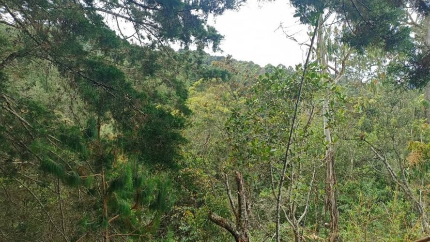 Lote en venta en San Nicolas, La Ceja, 10000 m² · foto 16 de 18