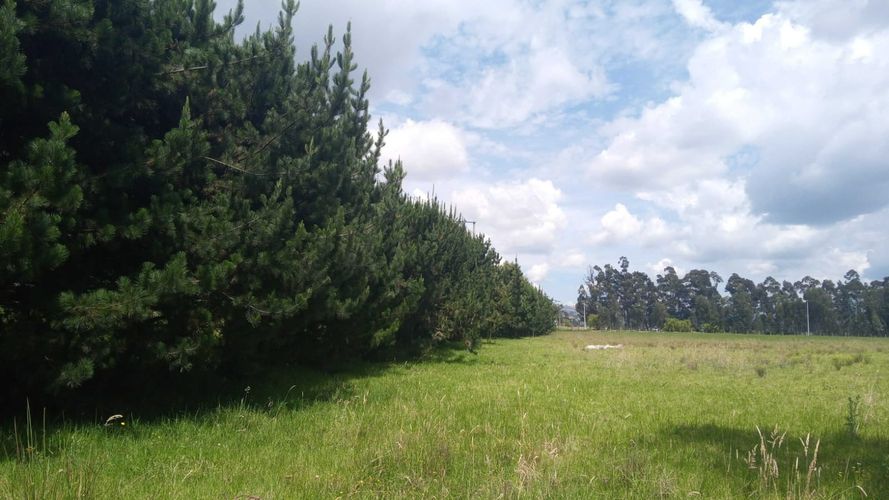 Lote en venta en La Esmeralda, Zipaquirá, 34950 m² · foto 8 de 9