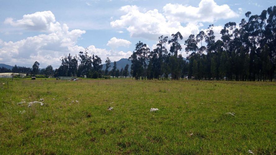 Lote en venta en La Esmeralda, Zipaquirá, 34950 m² · foto 5 de 9
