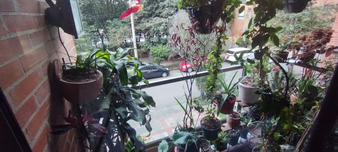 Apartamento en venta en Los Lagartos, Bogotá · foto 9 de 24
