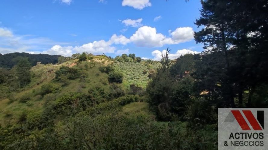 Finca en venta en Guarne, 38000 m² · foto 5 de 9