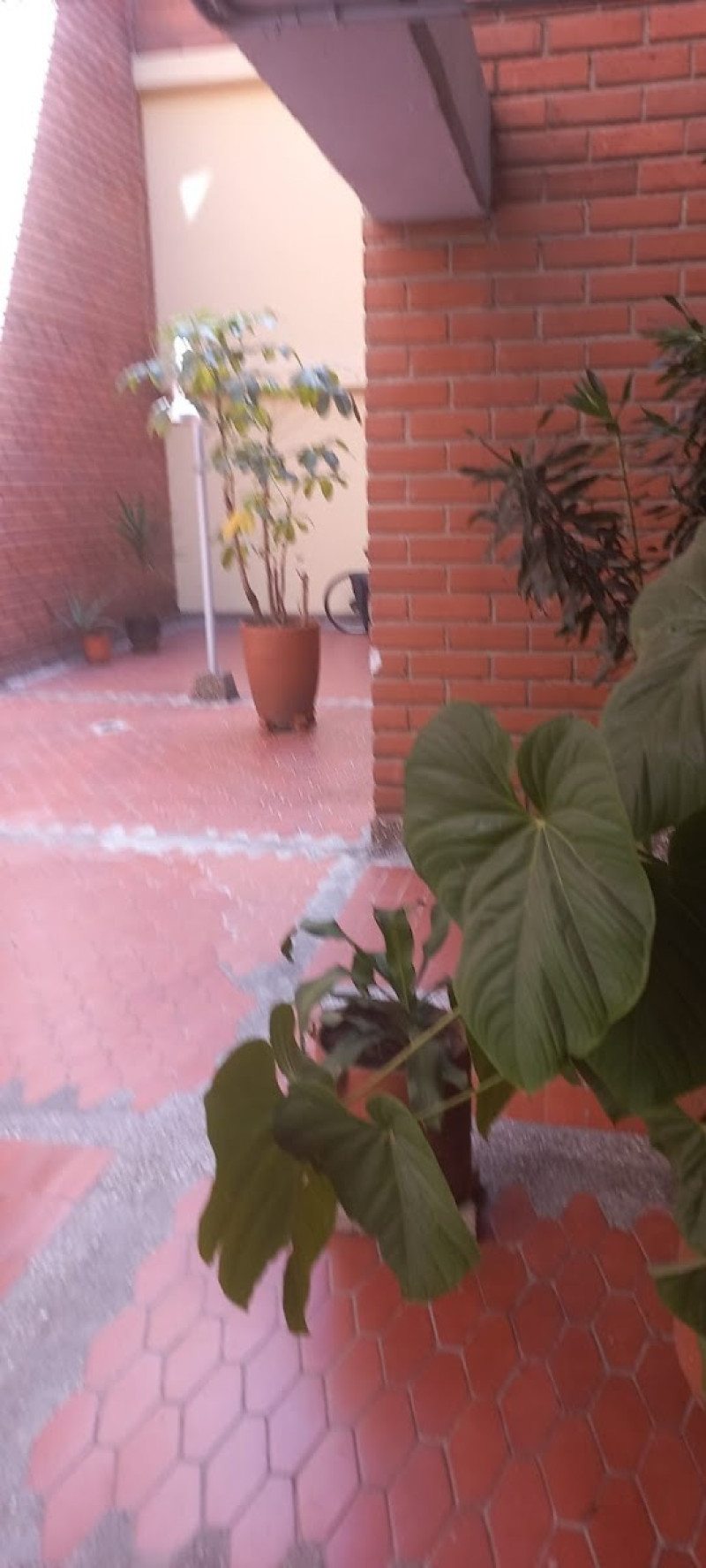 Apartamento en venta en La Floresta, Medellín · foto 13 de 14
