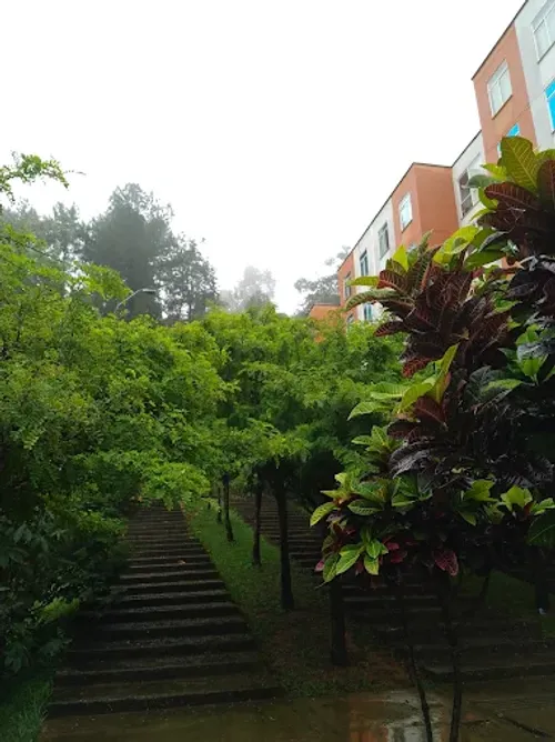 Apartamento de 3 alcobas en venta en Alto Napoles, Cali, 42 m² · foto 11 de 11