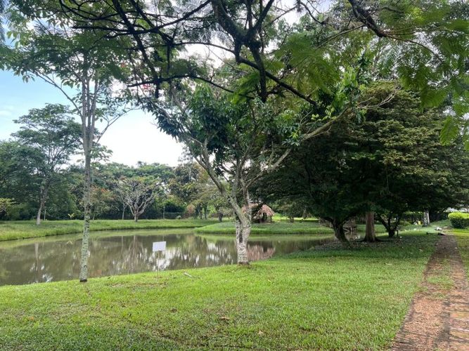 Casa de 4 alcobas en venta en Paso De La Bolsa, Jamundí, 500 m² · foto 24 de 24