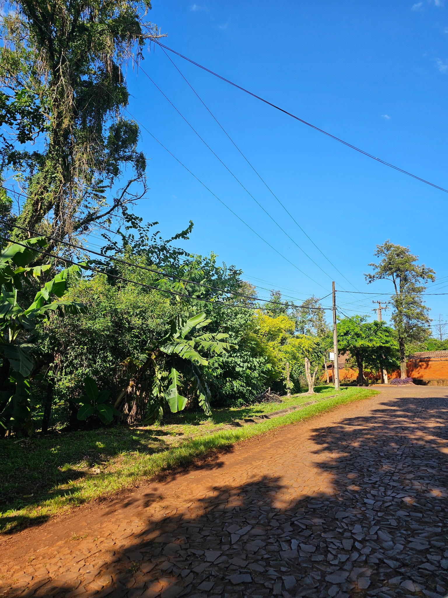 ✅️EN VENTA: 3 terrenos juntos con Vivienda Antigüa en Ubicación Estratégica — foto 3