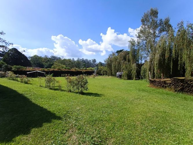 Finca en arriendo en Lomitas, La Ceja, 430 m² · foto 23 de 24