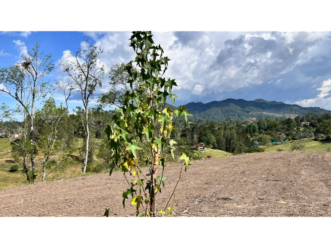 Lote en venta en Puente Pelaez, El Retiro, 1842 m² · foto 3 de 6