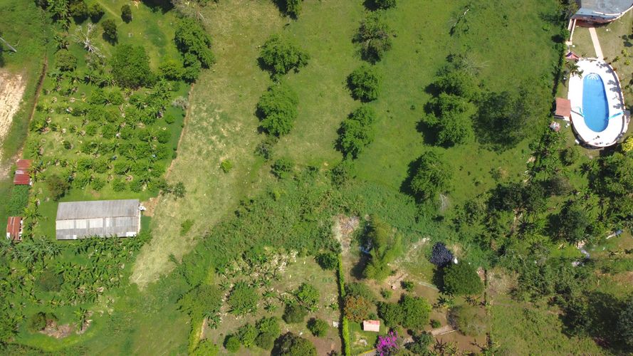 Lote en venta en Combia Baja, Pereira, 8014 m² · foto 3 de 7