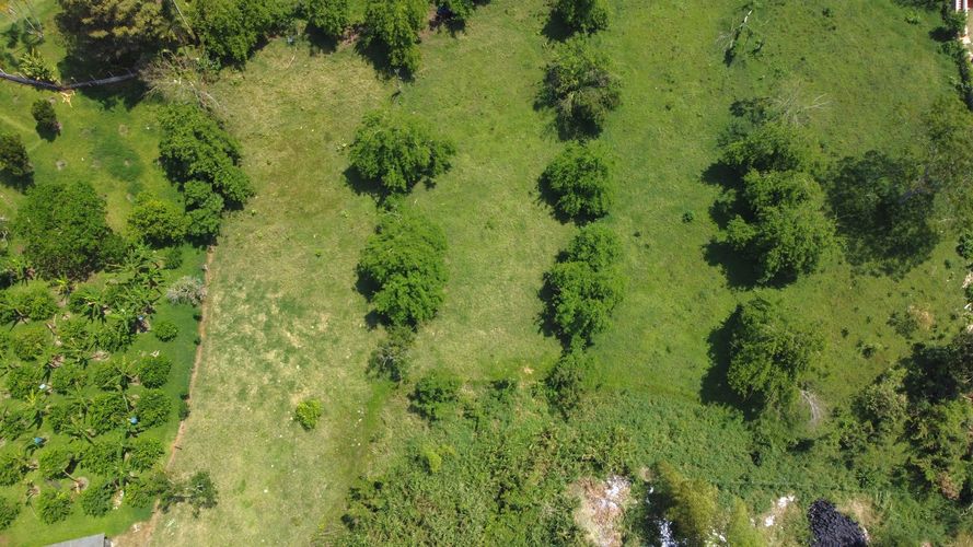 Lote en venta en Combia Baja, Pereira, 8014 m² · foto 4 de 7