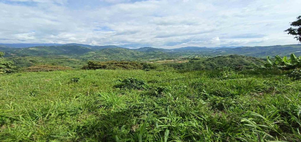 Lote en venta en San Peregrino, Manizales · foto 2 de 24