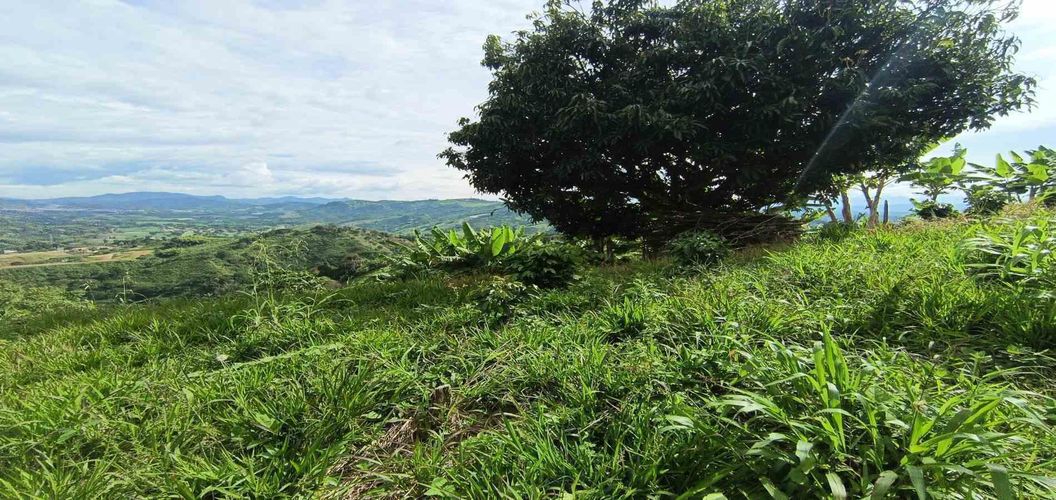 Lote en venta en San Peregrino, Manizales · foto 3 de 24