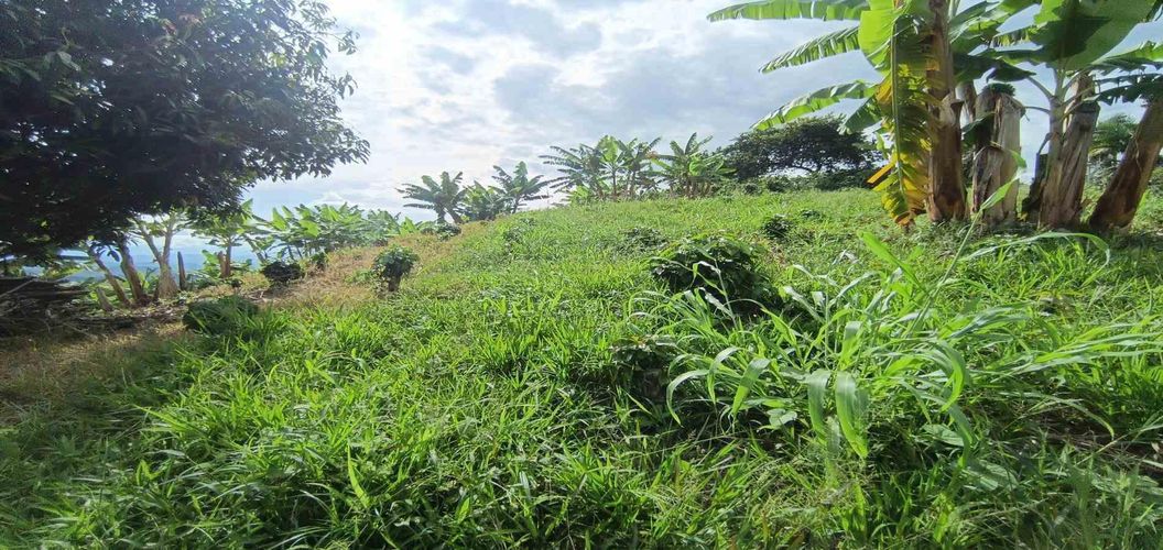 Lote en venta en San Peregrino, Manizales · foto 5 de 24