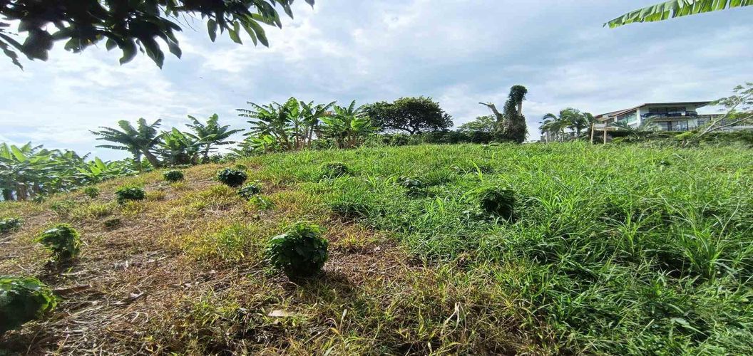 Lote en venta en San Peregrino, Manizales · foto 7 de 24