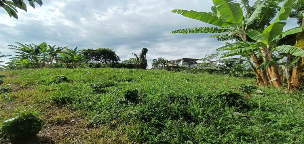 Lote en venta en San Peregrino, Manizales · foto 8 de 24