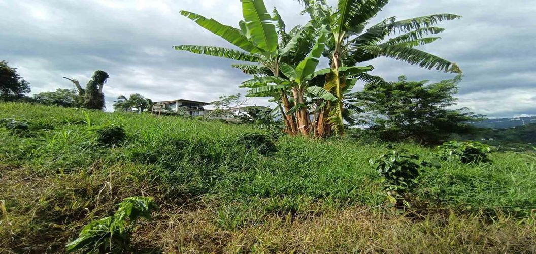 Lote en venta en San Peregrino, Manizales · foto 9 de 24