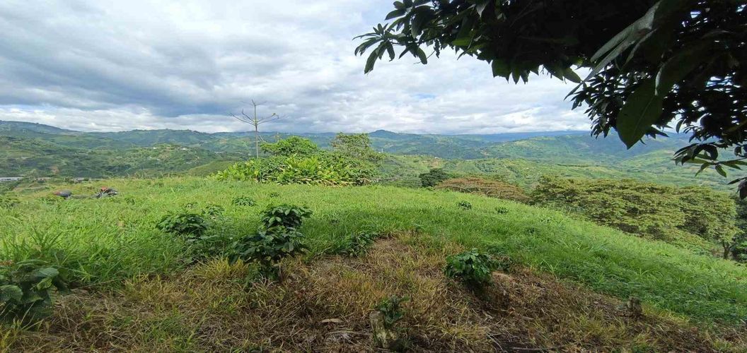 Lote en venta en San Peregrino, Manizales · foto 10 de 24