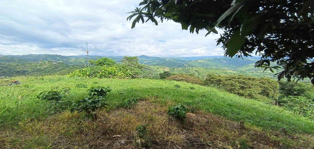 Lote en venta en San Peregrino, Manizales · foto 11 de 24