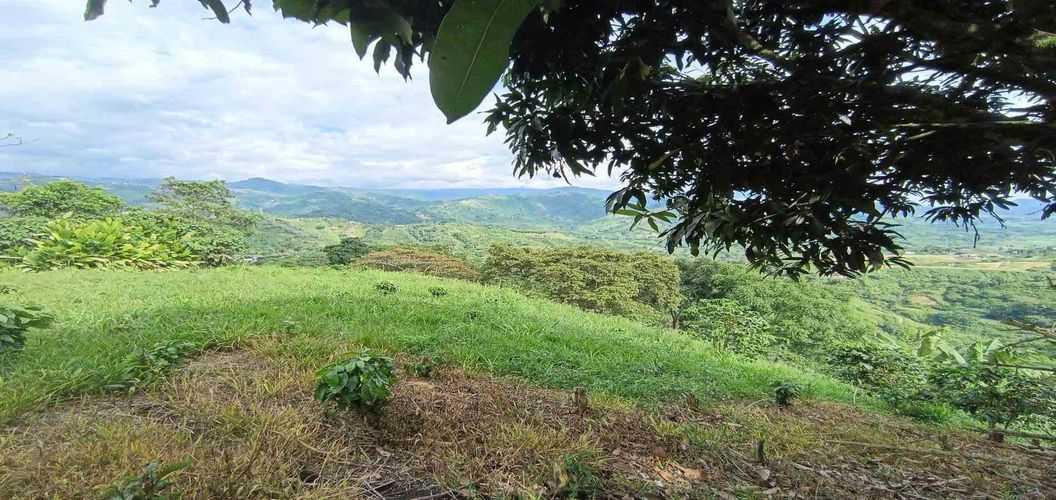 Lote en venta en San Peregrino, Manizales · foto 12 de 24