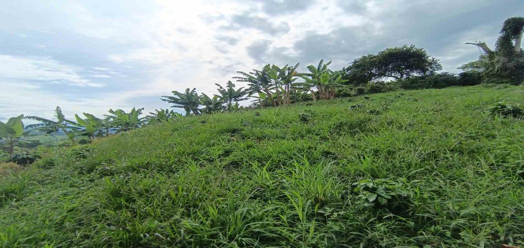 Lote en venta en San Peregrino, Manizales · foto 14 de 24