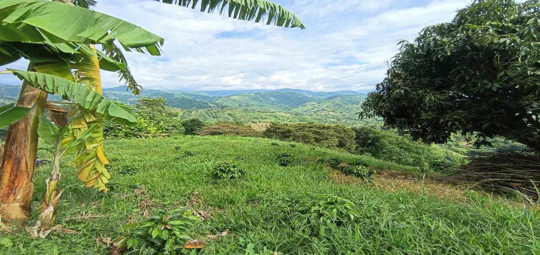 Lote en venta en San Peregrino, Manizales · foto 15 de 24