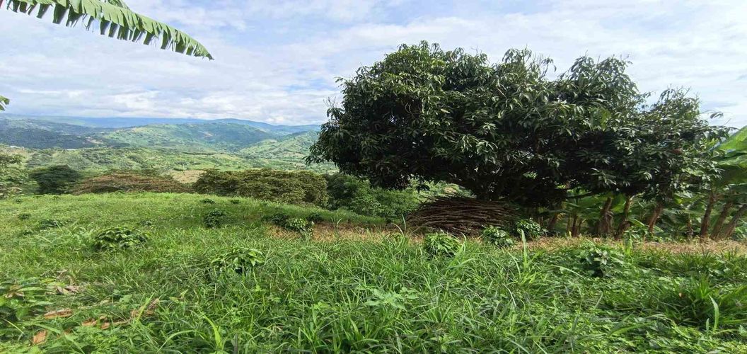 Lote en venta en San Peregrino, Manizales · foto 17 de 24