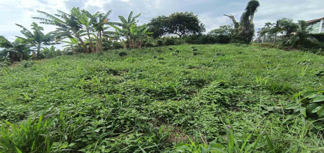 Lote en venta en San Peregrino, Manizales · foto 18 de 24