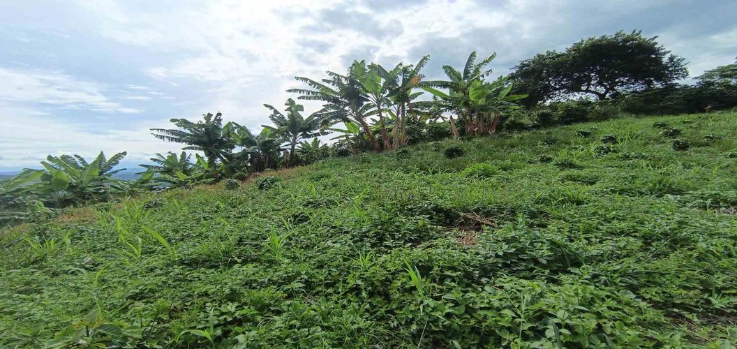 Lote en venta en San Peregrino, Manizales · foto 19 de 24