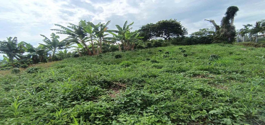 Lote en venta en San Peregrino, Manizales · foto 20 de 24