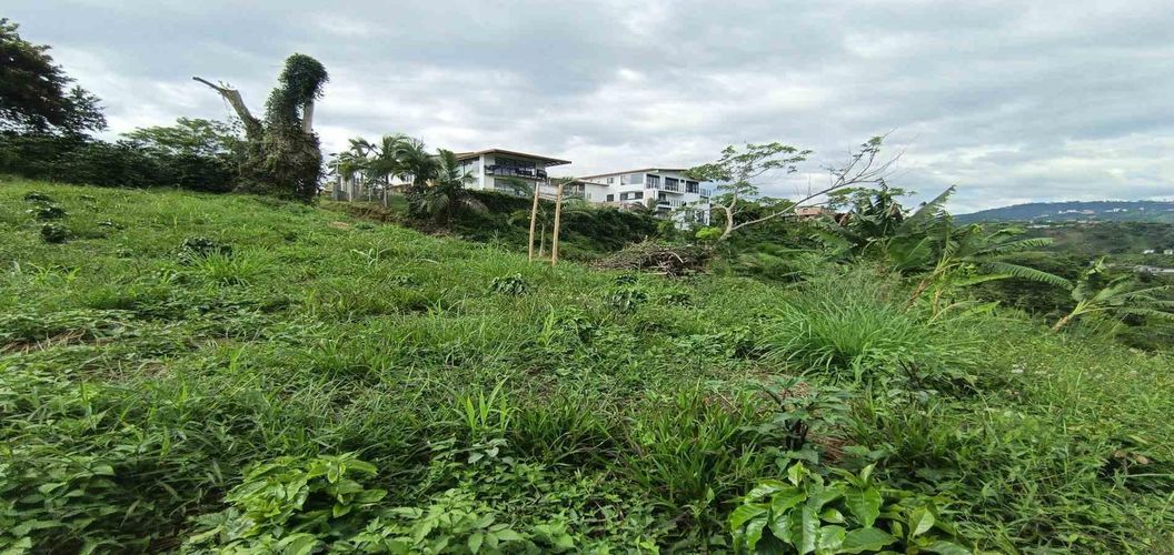 Lote en venta en San Peregrino, Manizales · foto 21 de 24