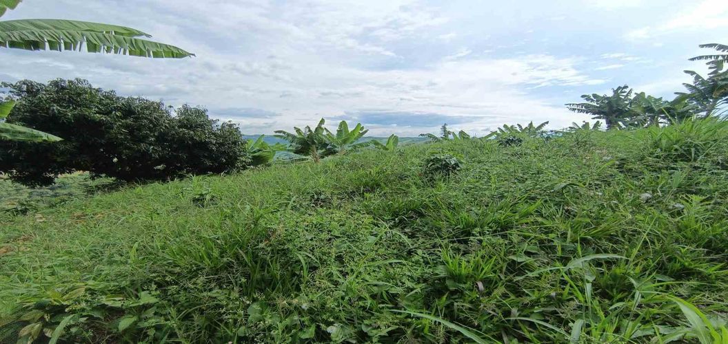Lote en venta en San Peregrino, Manizales · foto 23 de 24