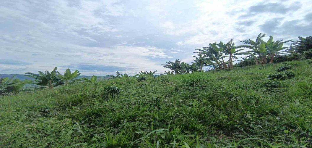 Lote en venta en San Peregrino, Manizales · foto 24 de 24