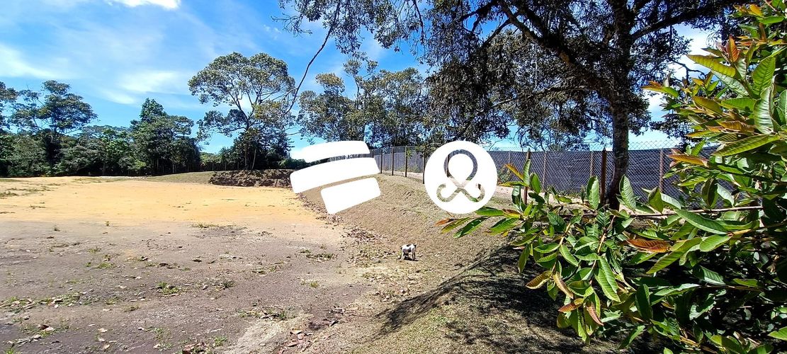 Lote en venta en Vilachuaga, Rionegro, 5000 m² · foto 5 de 12