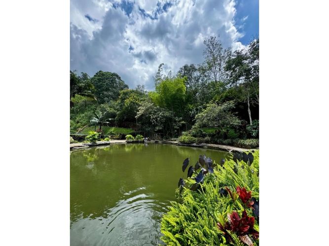 Apartamento de 4 alcobas en venta en Laureles, Medellín, 100 m² · foto 23 de 24