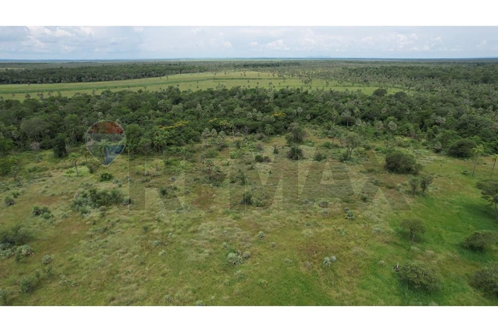 INVERSIÓN ÚNICA SOBRE RUTA – 181 HAS EN VILLETA — foto 3