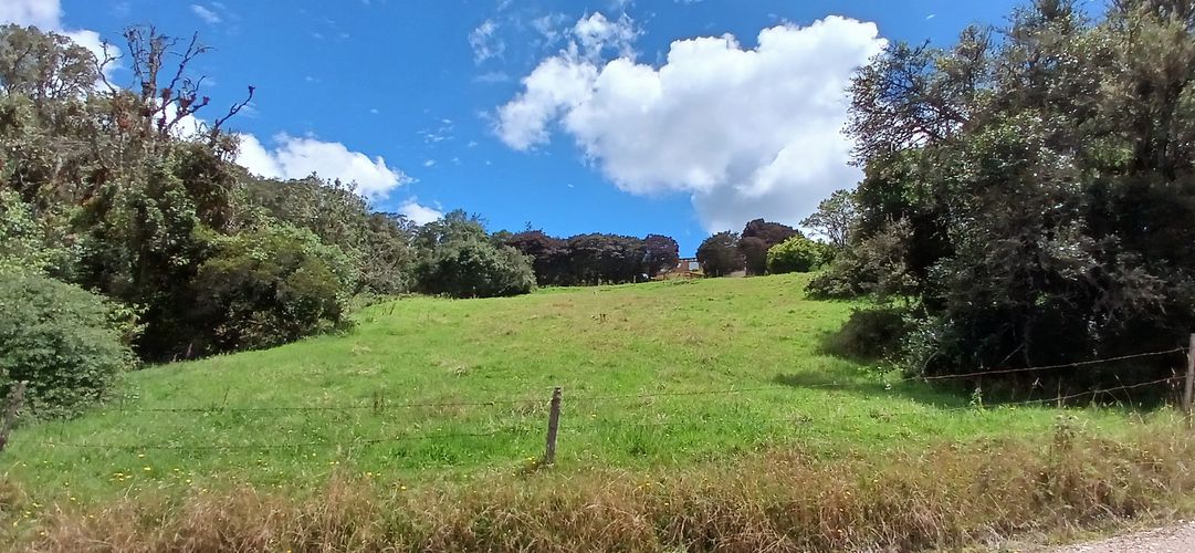 Lote en venta en Yerbabuena, Sopó, 2500 m² · foto 7 de 24