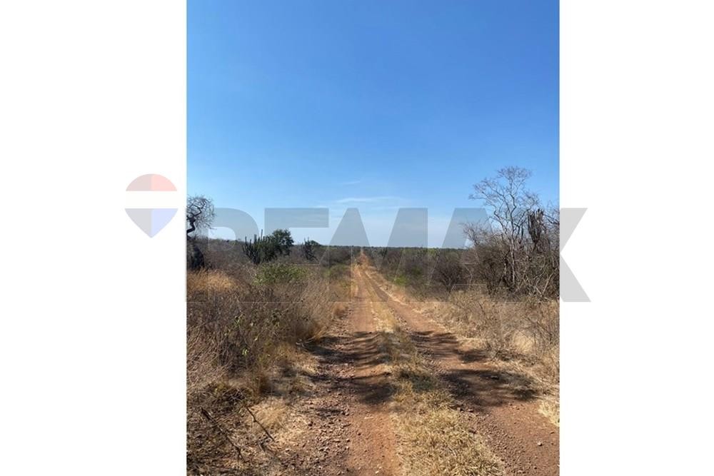 Estancia en Venta - Bahía Negra, Alto Paraguay: Oportunidad de Inversión de 2.017 ha. en el Chaco Paraguayo con Gran Proyección y Versatilidad Productiva. — foto 3