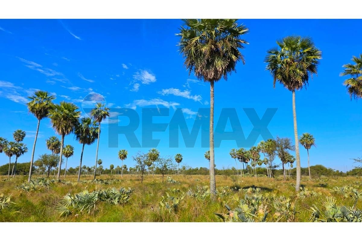 Estancia en Venta sobre Ruta Transchaco KM 130, Benjamín Aceval, Presidente Hayes, Paraguay - Oportunidad Única USD 870.000.- — foto 3